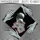 Infinite Void / Artic Flowers - Split - 7"