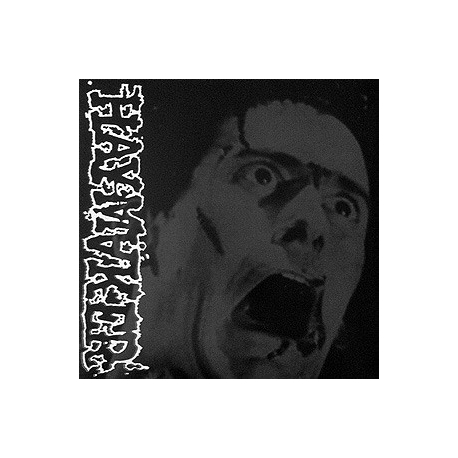 Haymaker - Demo - LP