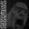 Haymaker - Demo - LP