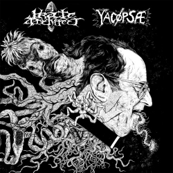 Yacopsae / Irate Architect - Split - 10"