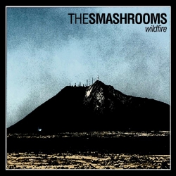 The Smashrooms - Wildfire - LP