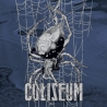 Coliseum - True Quiet / Last Wave - 7"